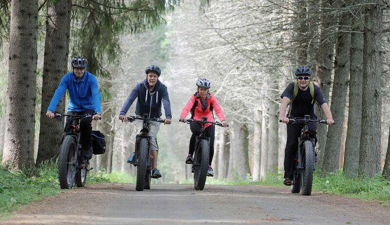 Fat bikes_road