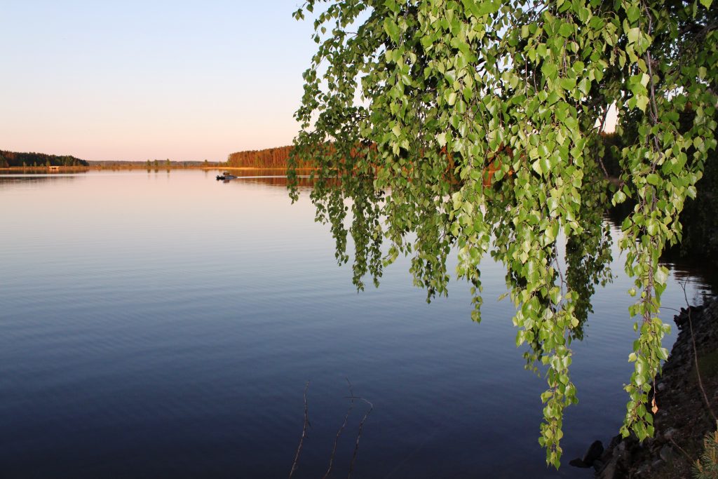 Kruunupuiston Juhannus