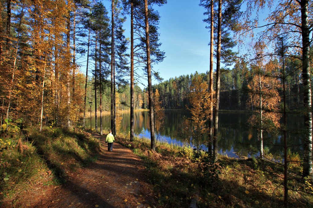 Syyslomaviikon majoitustarjous