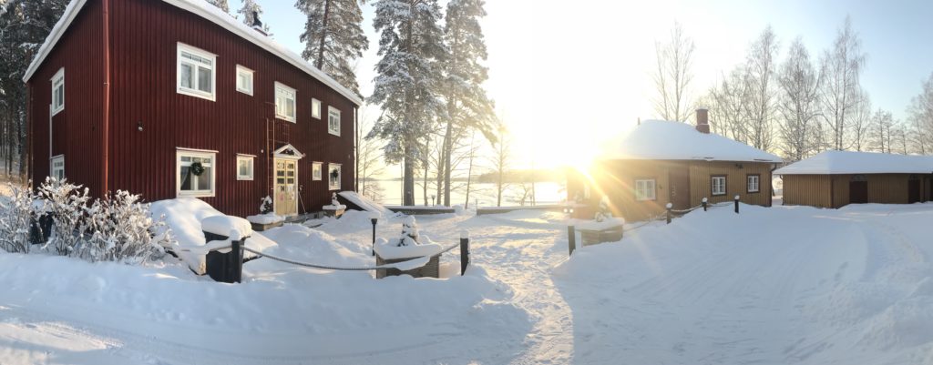 TÄLLÄ VIIKOLLA KRUUNUPUISTOSSA